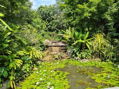 -中国科学院西双版纳热带植物园