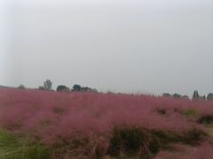 -池州市平天湖风景区