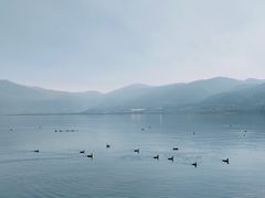 -西昌邛海湿地