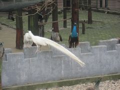 -南京金牛湖风景区