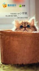 -北京市朝阳区妇幼保健院(南院区)