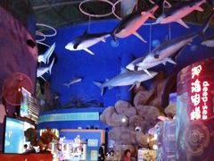 -烟台海昌鲸鲨海洋公园