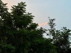 -济南国际园博园