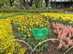 -玄武湖景区-情侣园游乐场