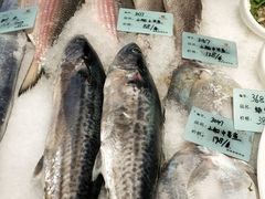 -南山饭店(阳明古镇店)