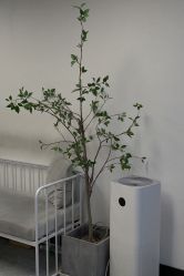 -HG美发设计沙龙