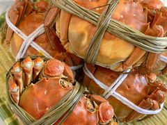-蟹天蟹地农家菜·阳澄湖大闸蟹(浅水湾店)