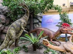 -国家自然博物馆