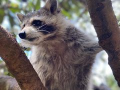 -云南野生动物园