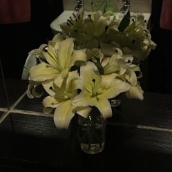 -史云逊养发护发