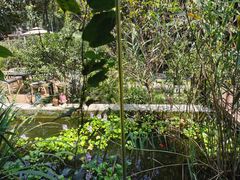 -谷咖啡·鲜花绿植花园餐厅