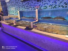 水产区-乔哥铭洋海鲜自助(皇城恒隆广场店)