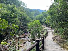 -广州白江湖森林公园