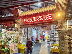 -桃姐农庄老字号(从化温泉店)