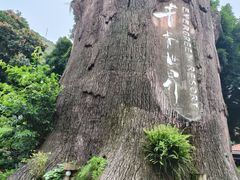 -青青世界