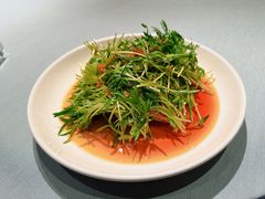 -凤凰湘语(浦东旗舰店)