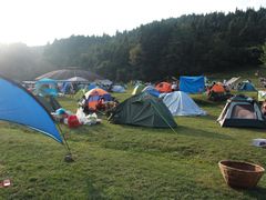 -武陵山森林公园