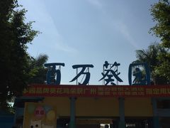 -百万葵园