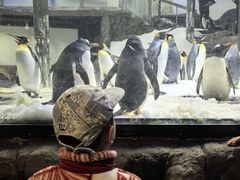 -悉尼海洋生物水族馆