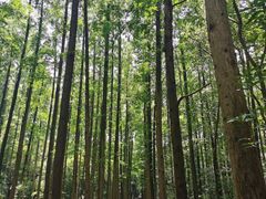 -同里国家湿地公园