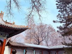 -晋祠公园