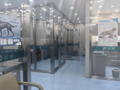 -万博宠物医院·手术·诊疗(未央凤城五路店)