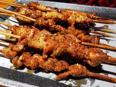 羊肉串-管氏翅吧(护国寺店)