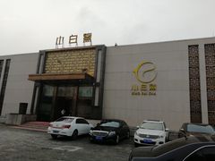 门面-小白鲨(四季青桥店)