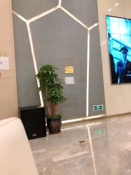 -成都艾特他整形外科医院