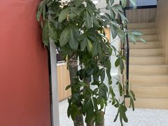 -欧立口腔(香雪店)
