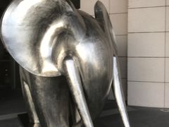 -长沙君悦酒店·自助餐厅咖啡厅