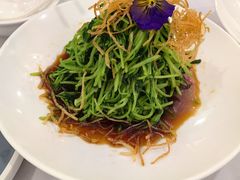 -新名仕新白玉兰餐厅