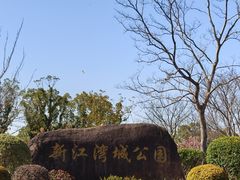 -新江湾城公园