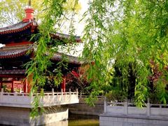 -石岛赤山风景区