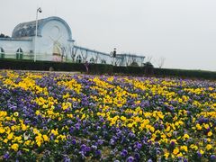 -紫颐香薰山谷景区