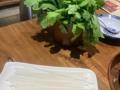 -十六蒲(桂林路店)