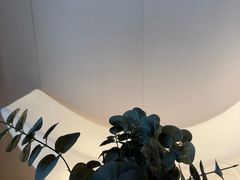 -鲸落SPA(番禺长隆店)