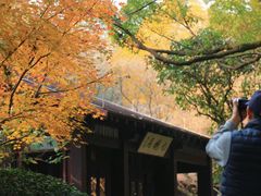 -中国茶叶博物馆(双峰馆区)