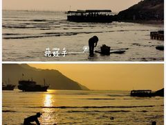 -北岐滩涂