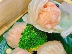 -伯乐居茶艺馆(石岐大信店)