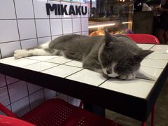 Mikaku(Mikaku万达店)-MIKAKU(万达广场上海宝山店)