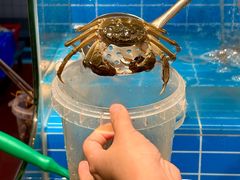 -金滏山·烤肉海鲜火锅自助(襄阳万达店)