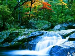 -丹东天桥沟景区