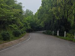 -羊山湖公园