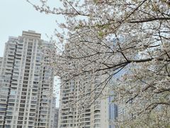 -西北湖绿化广场