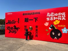 -上海都市菜园