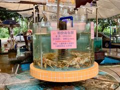 -荔城生鲜盛宴(番禺旗舰店)