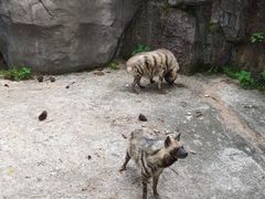 -南昌动物园