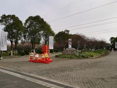 -上海海湾国家森林公园