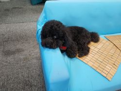 -斐尔国际皮肤管理中心